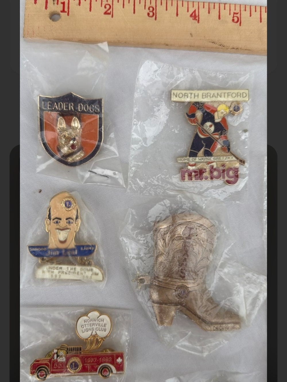 Collection of Lions Club and Regional Commemorative Pins